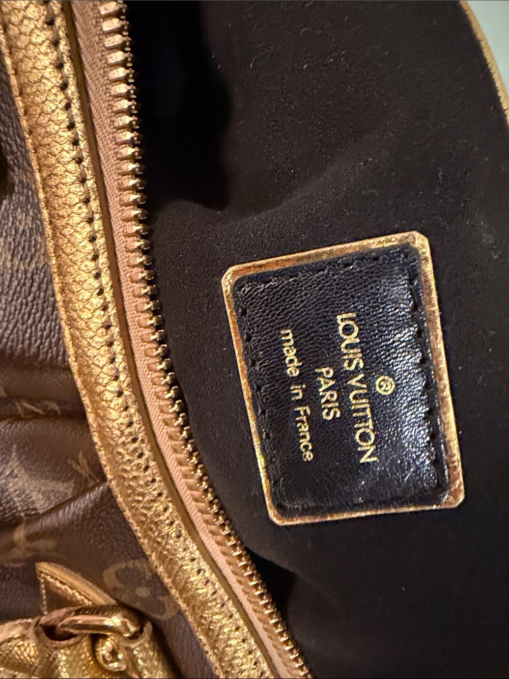 Louis Vuitton Monogram Leopard Stephen Bag - Picture 2 of 16